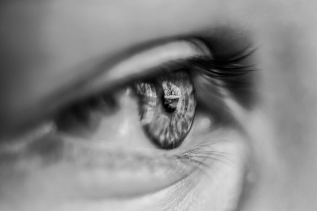 Grayscale Macro Photography of Person's Eye